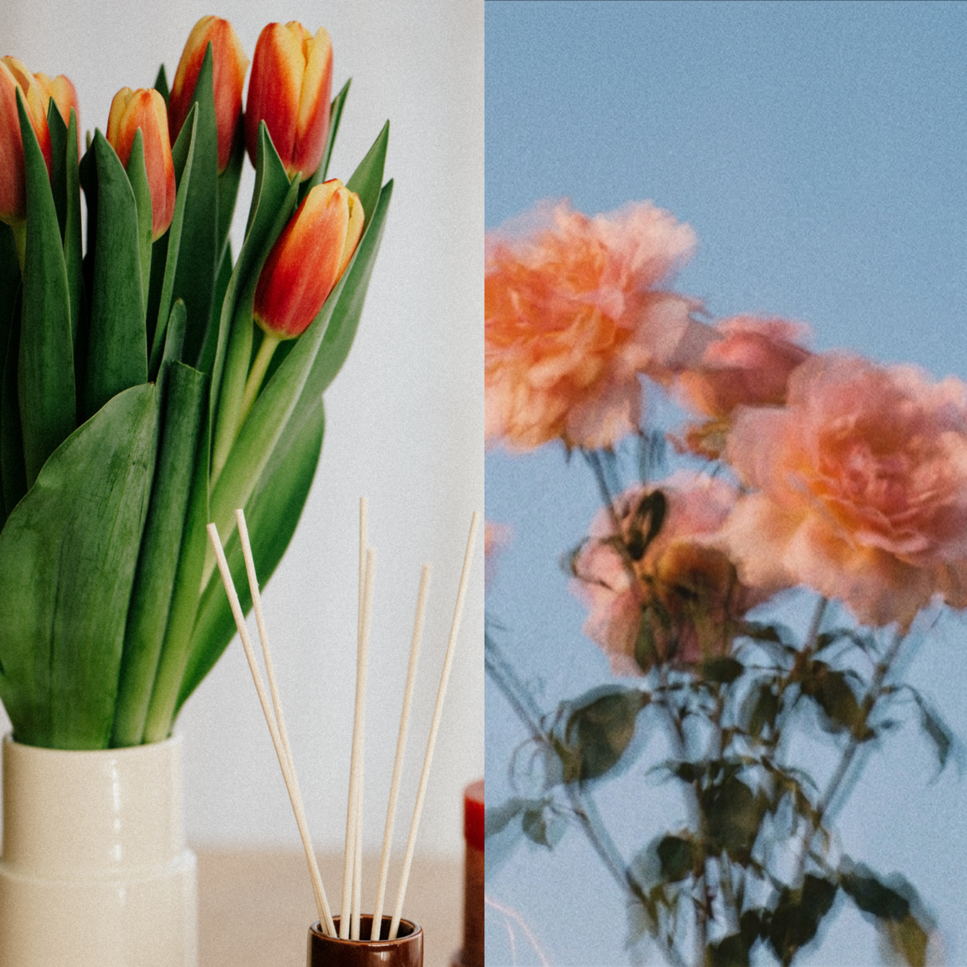 Spring collection