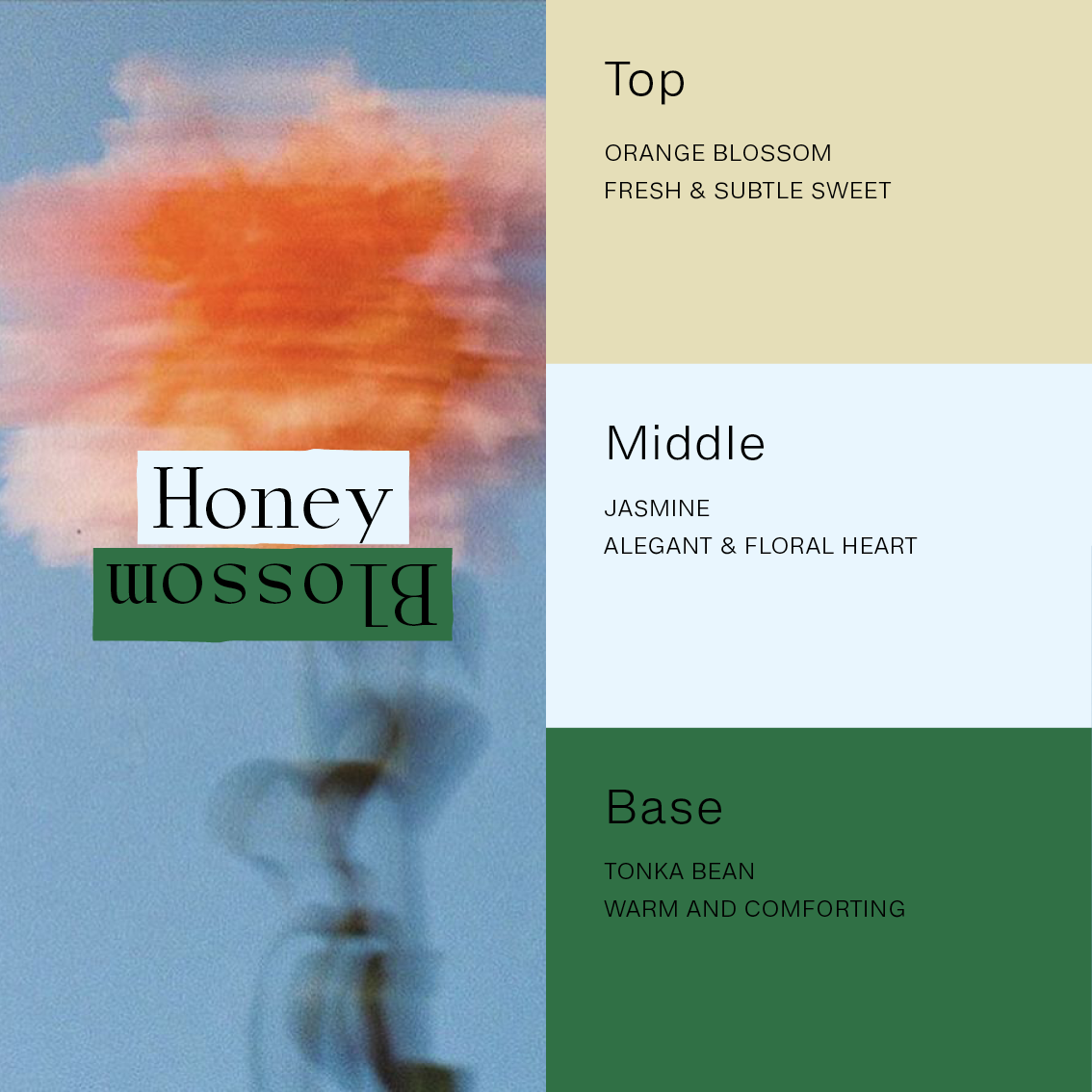 Honey Blossom – 200ml Diffuser & Refill